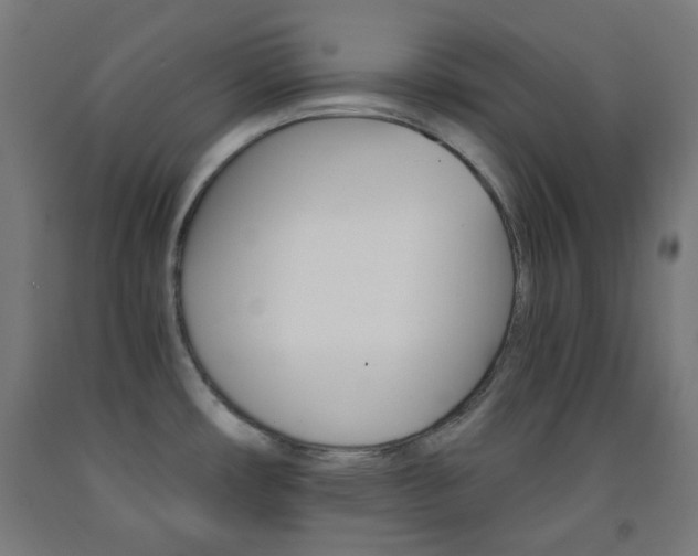 X0000093231482200709261459