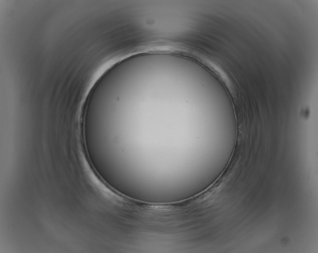X0000093231483200709261459
