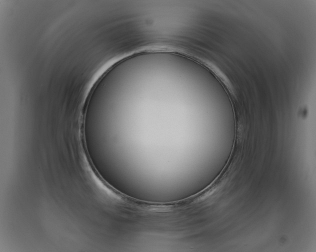 X0000093231484200709261459
