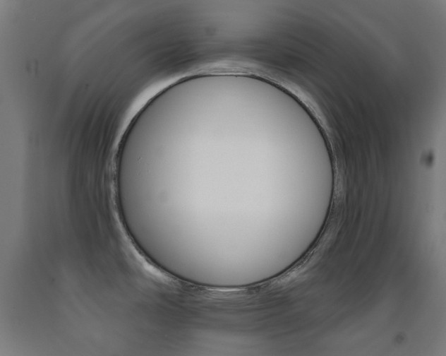 X0000093231486200709261459