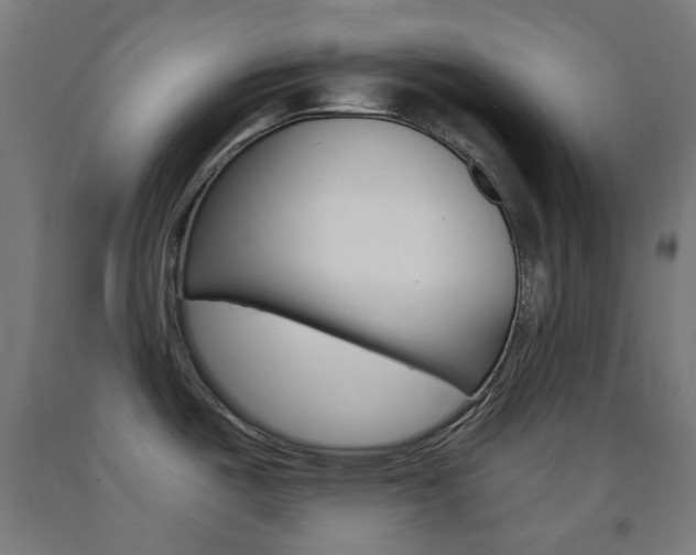 X0000093231487200709261459