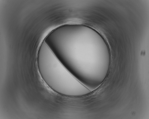 X0000093231488200709261459