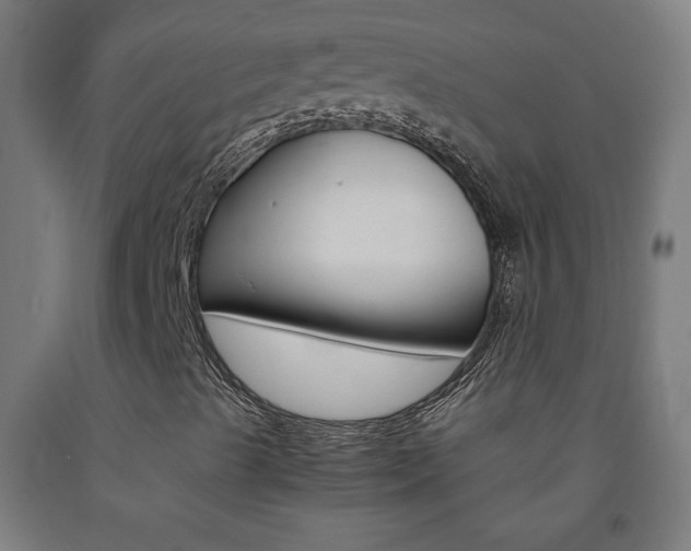 X0000093231489200709261458