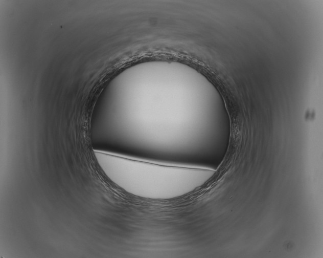 X0000093231490200709261458