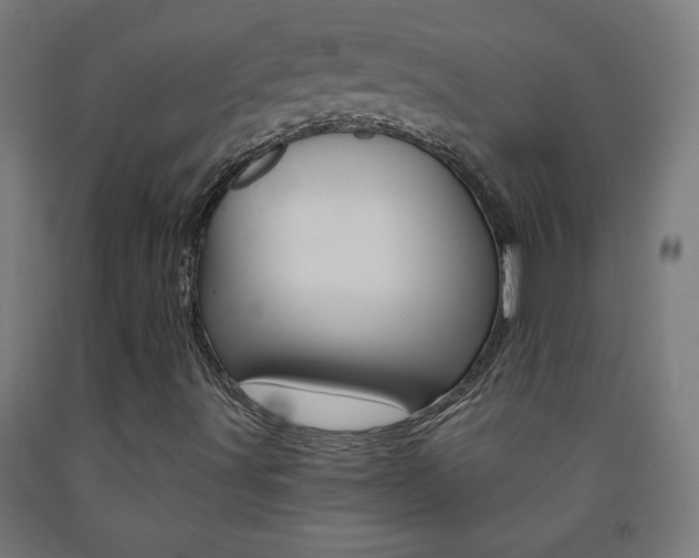 X0000093231491200709261458