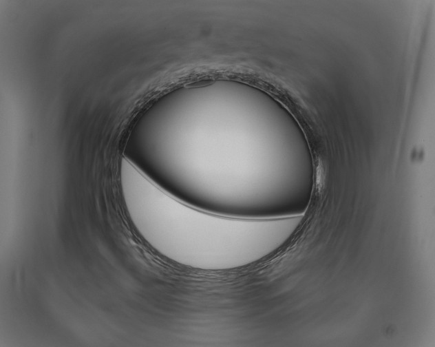X0000093231492200709261458