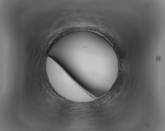 X0000093231493200709261458