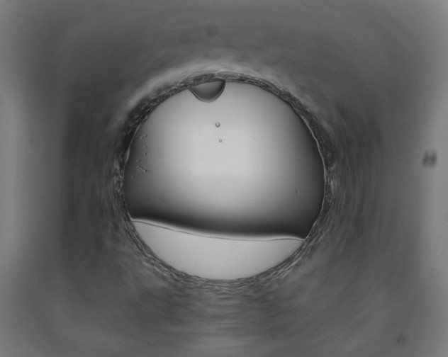 X0000093231495200709261458