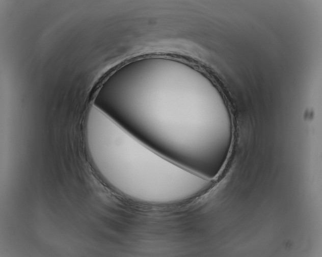 X0000093231497200709261458