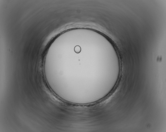 X0000093231498200709261458