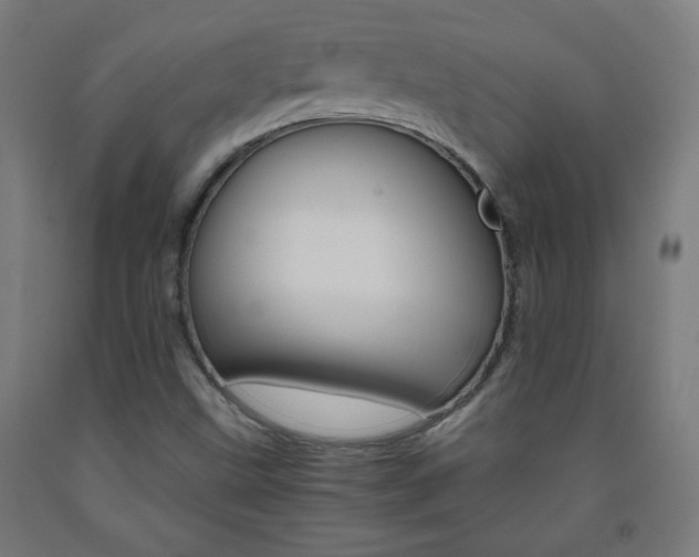 X0000093231499200709261458