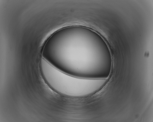 X0000093231500200709261458