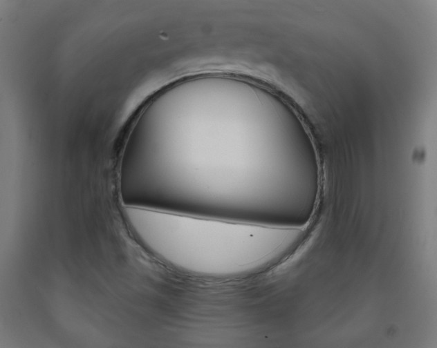 X0000093231501200709261458