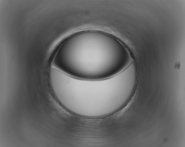 X0000093231502200709261458