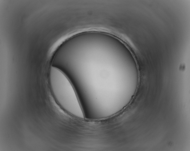 X0000093231504200709261458