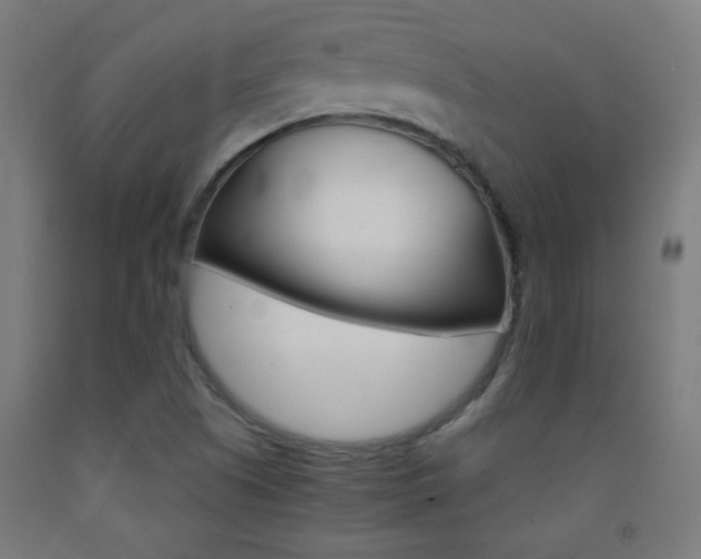 X0000093231505200709261458