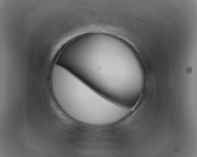 X0000093231507200709261458