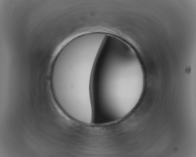 X0000093231508200709261458