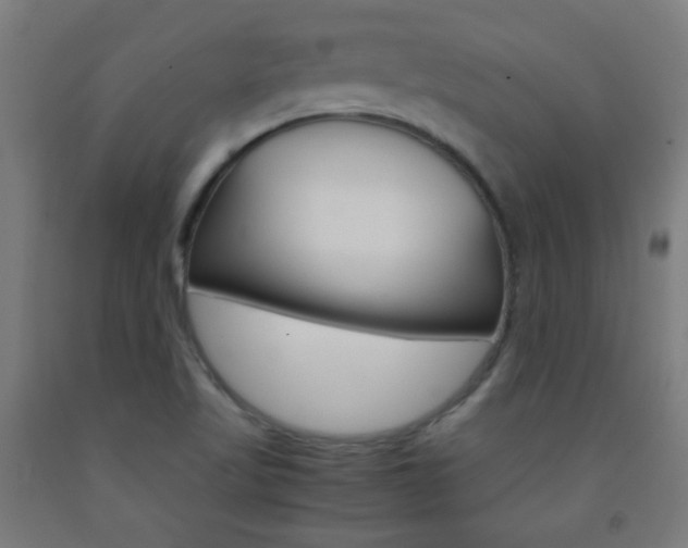 X0000093231509200709261458