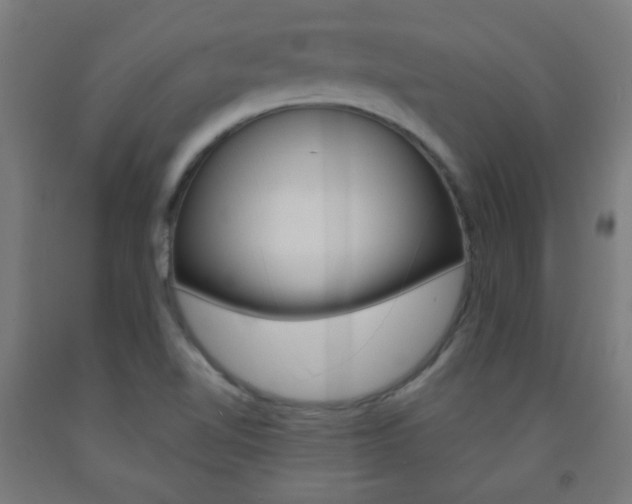 X0000093231510200709261458