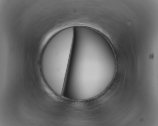 X0000093231511200709261458