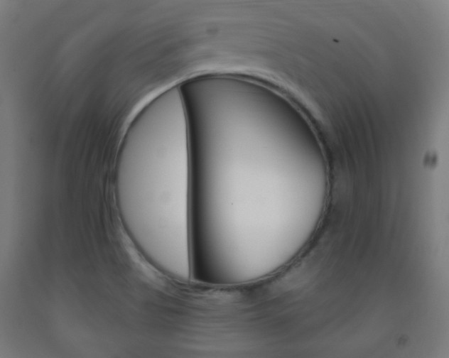 X0000093231513200709261458