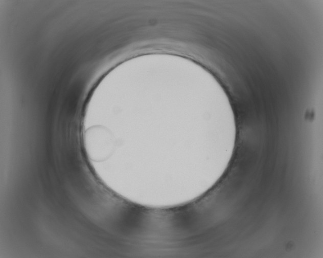X0000093231514200709261458
