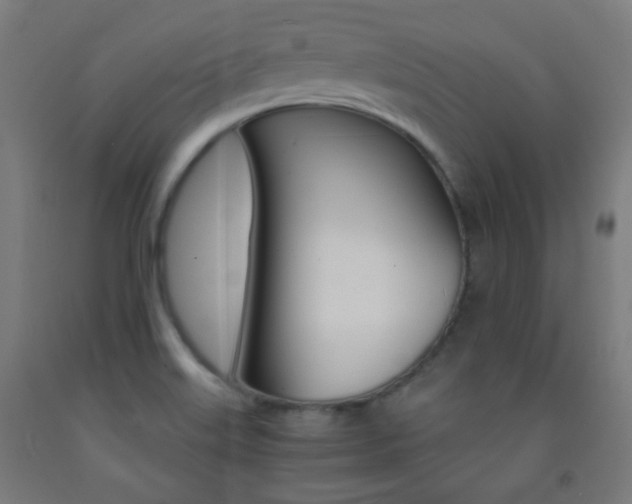 X0000093231515200709261459
