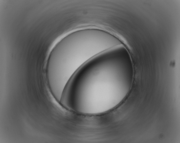 X0000093231516200709261459