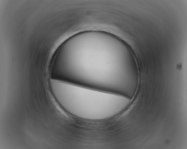 X0000093231517200709261459