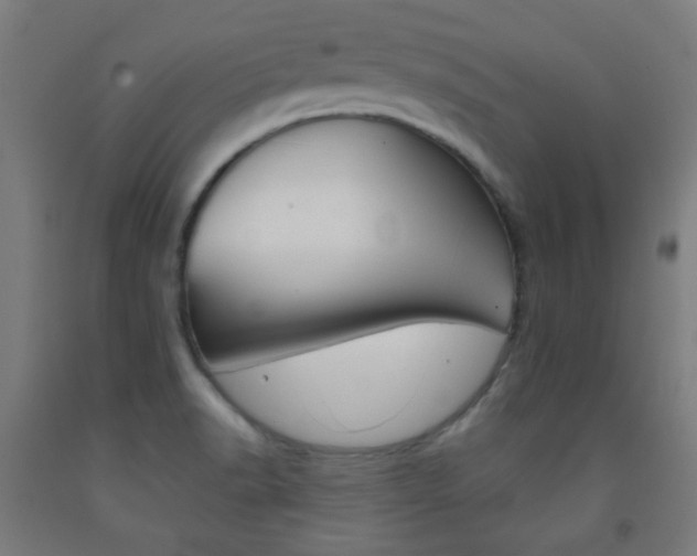 X0000093231518200709261459