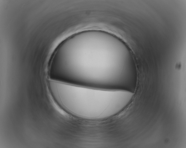 X0000093231519200709261459