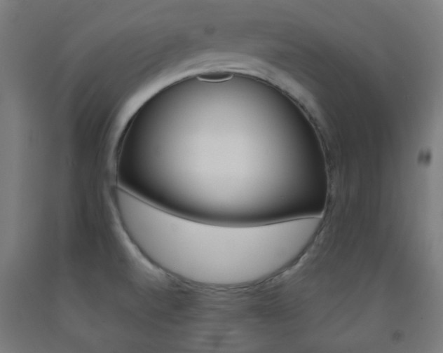 X0000093231520200709261459