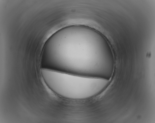 X0000093231521200709261459