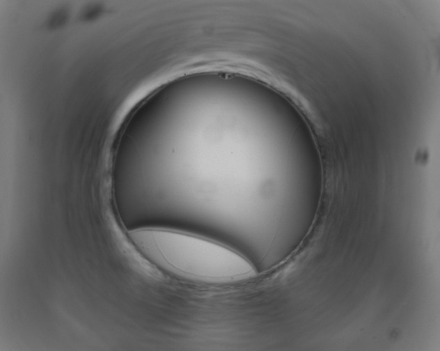 X0000093231522200709261459