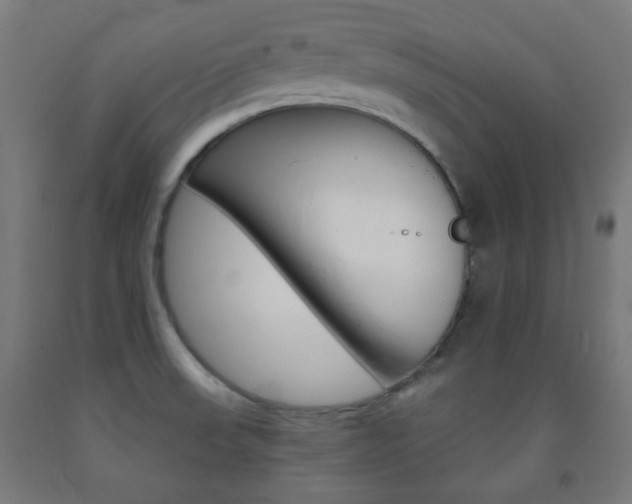 X0000093231523200709261459