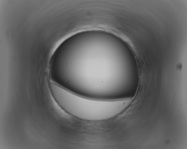 X0000093231524200709261459