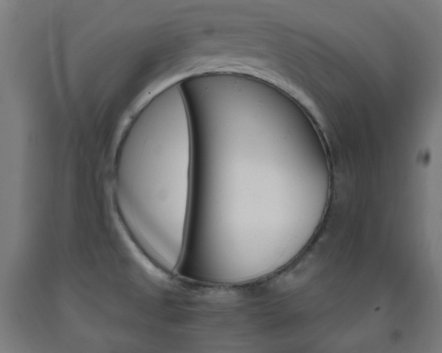 X0000093231525200709261459