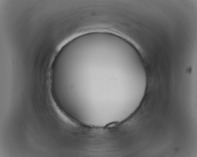 X0000093231526200709261459