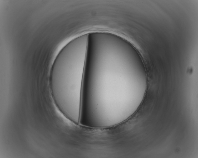 X0000093231527200709261459