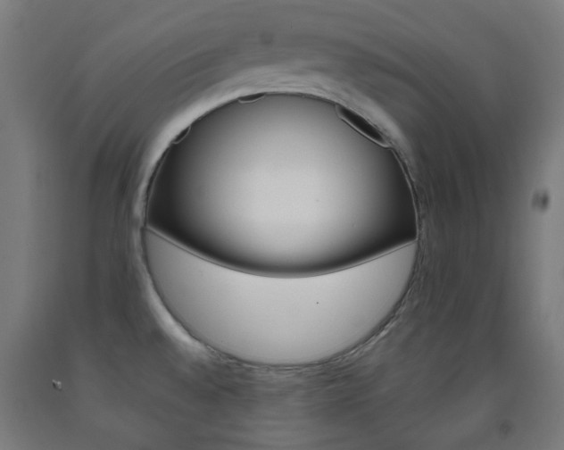 X0000093231528200709261459