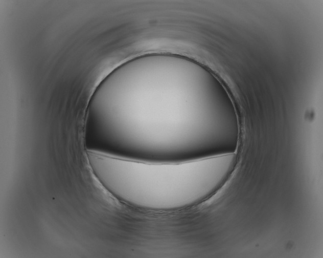 X0000093231529200709261459