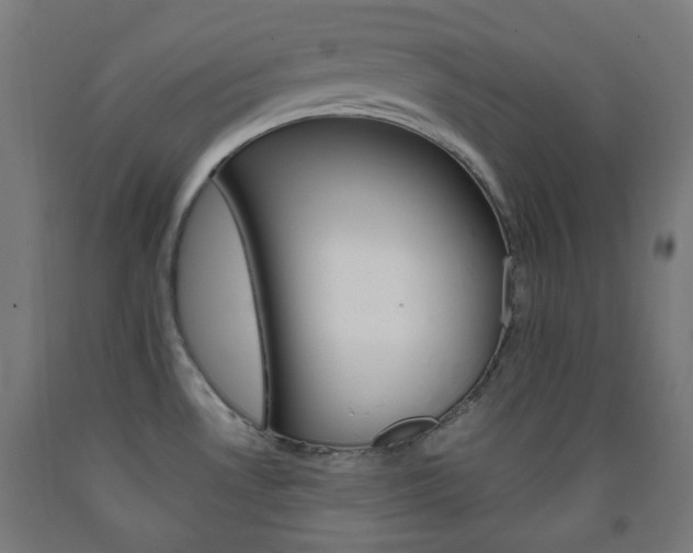 X0000093231530200709261459