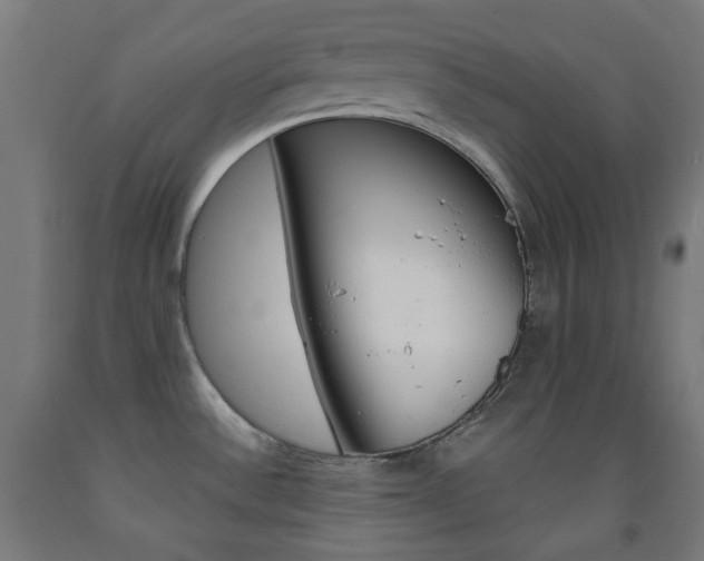 X0000093231532200709261459
