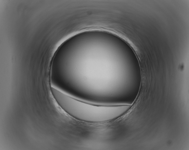 X0000093231534200709261459