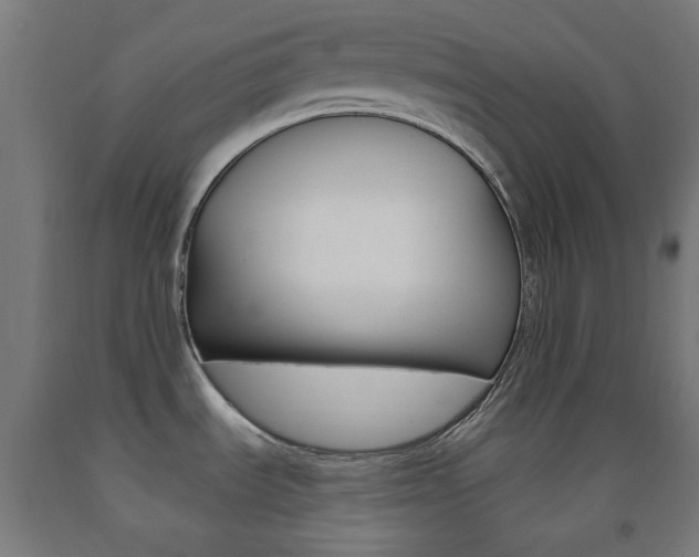 X0000093231535200709261459