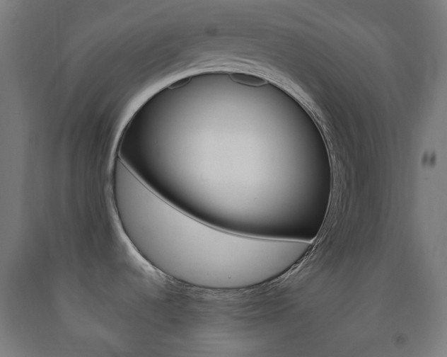 X0000093231536200709261459