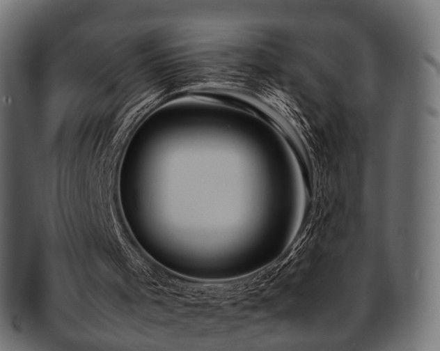 X0000093230001200709261701