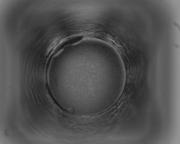 X0000093230002200709261701