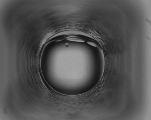X0000093230003200709261701